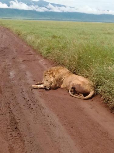 CAN I BRING MY CHILDREN ON SAFARI?