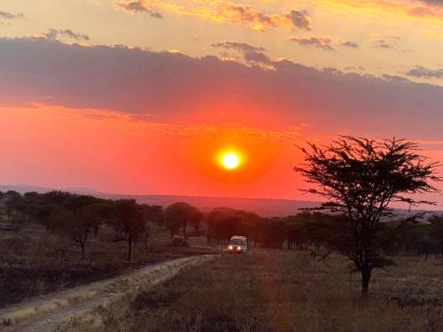 IMG_20210827_182038_804