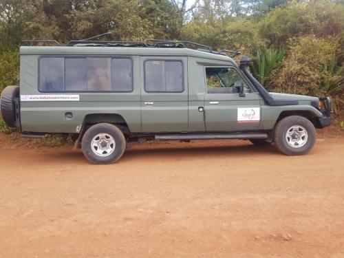 Safari Vehicle