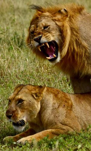 ee2df2db9df648ae9ee20a3ea2e9c2aa